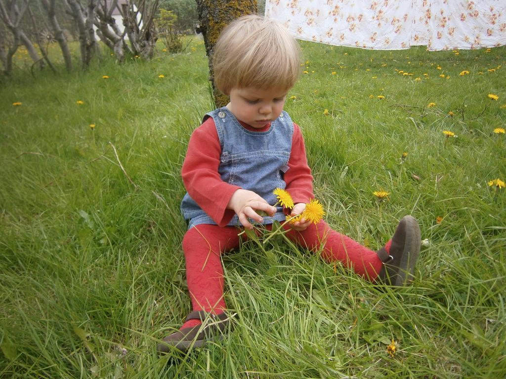Sireksstadir Farm Holiday Vopnafjorthur Exterior photo